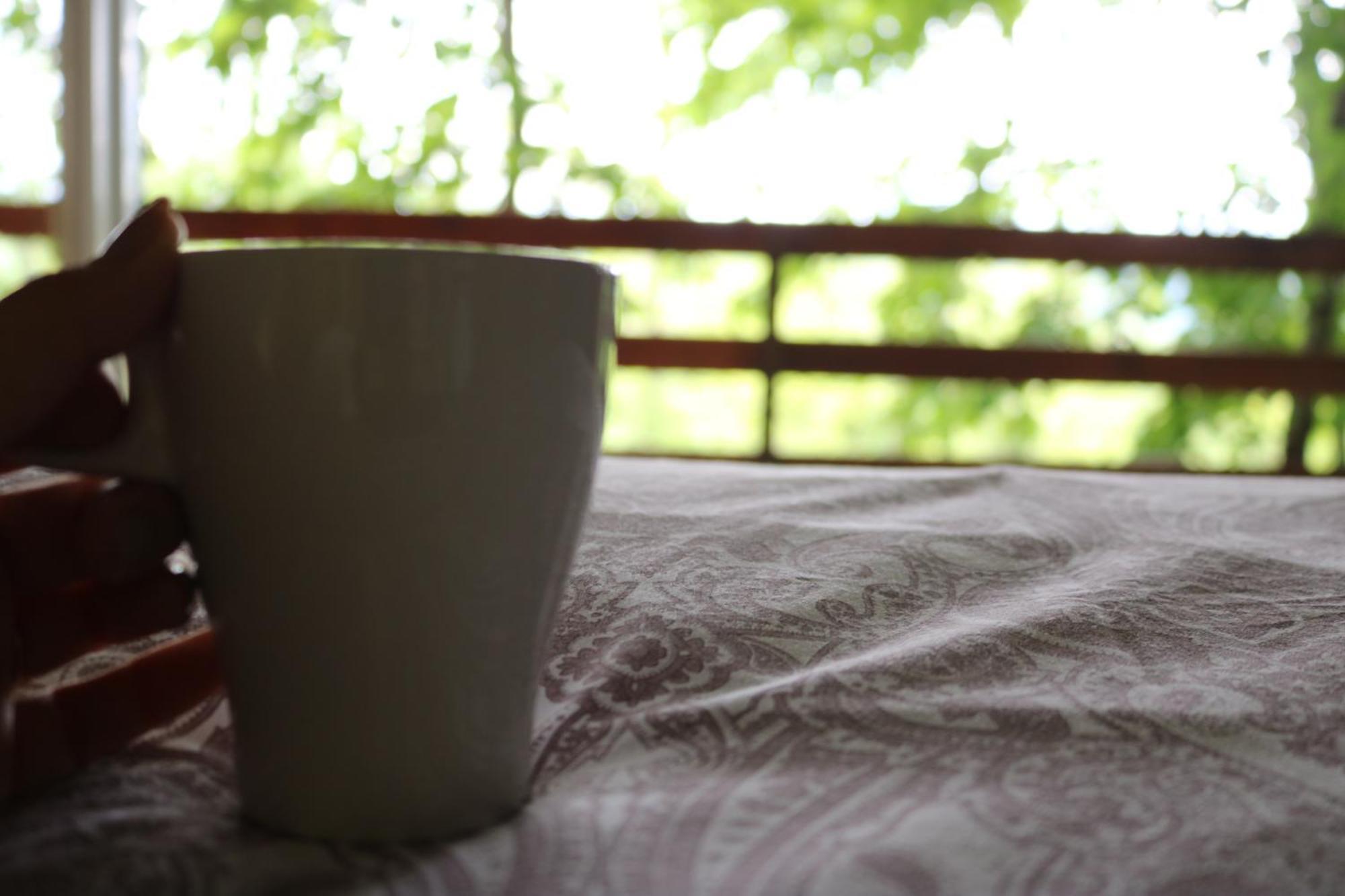 Vita Mia Pazin Cameră foto